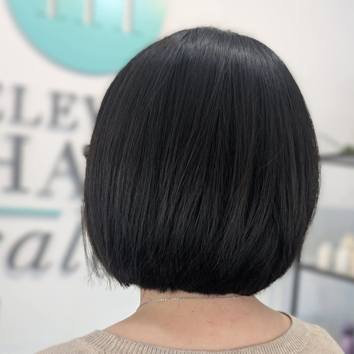 hair stylist work in Atlanta, GA (12)